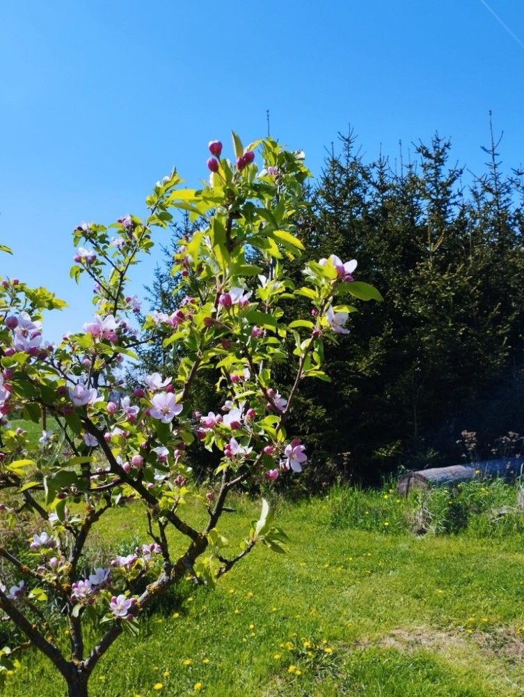 Zahrady, Stařeč, 675 22