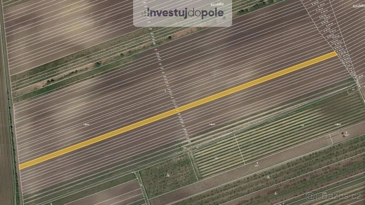 Prodej zemědělský pozemek - Velké Pavlovice, 691 06, 3 452 m²