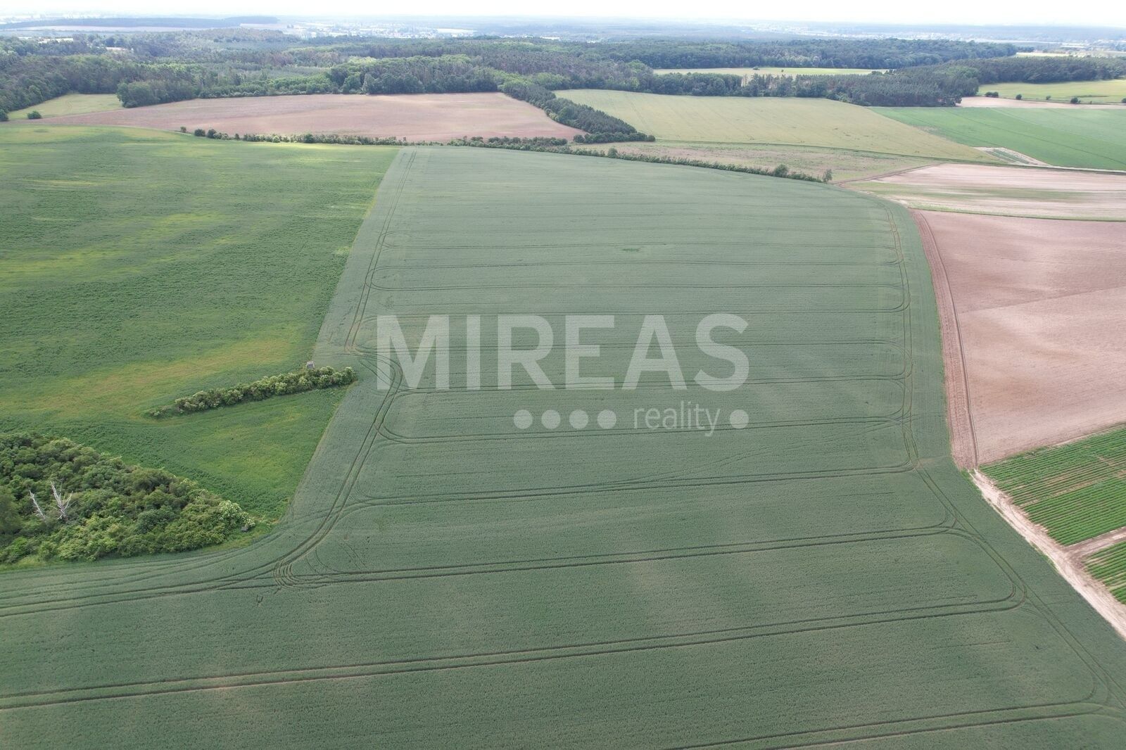 Zemědělské pozemky, Jiřice, 23 m²