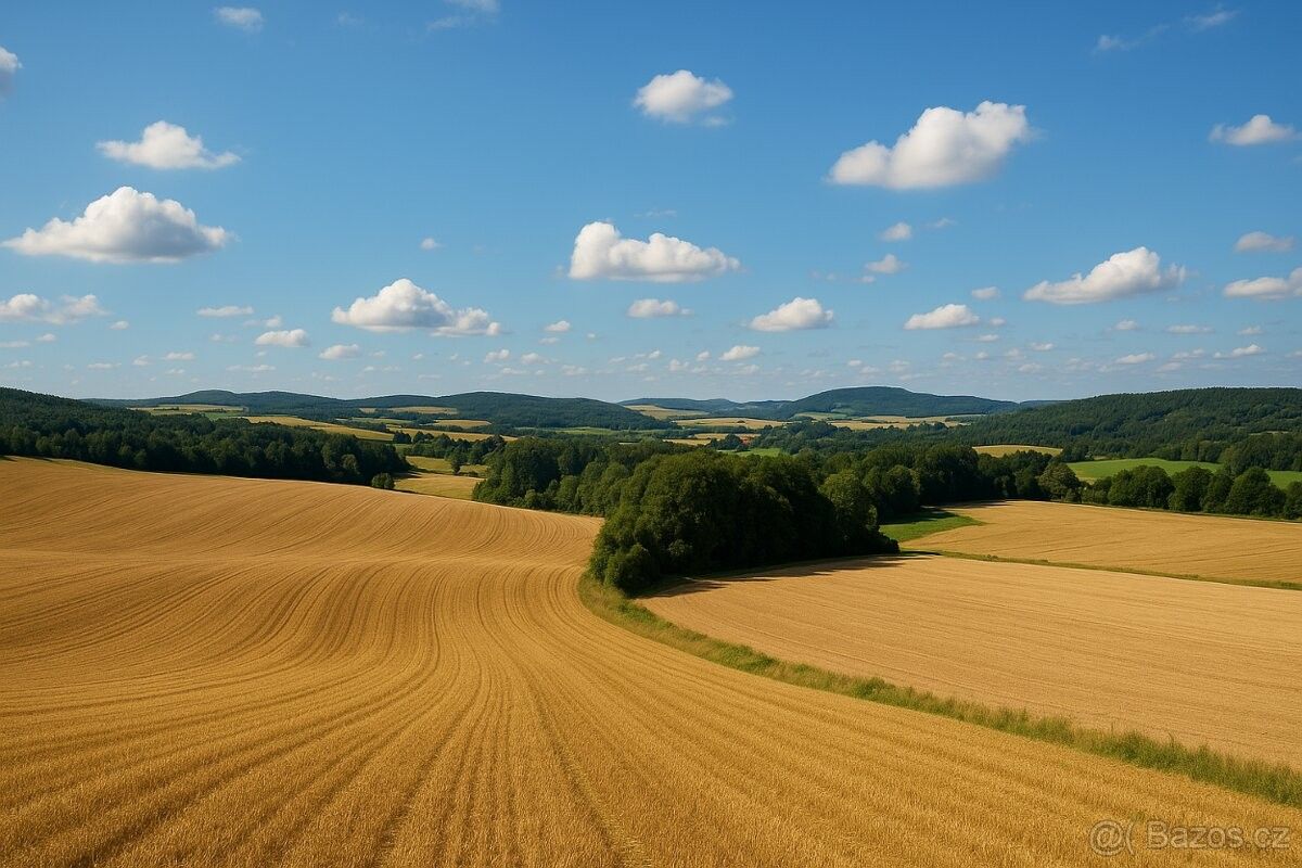 Pozemky pro bydlení, Plasy, 331 01