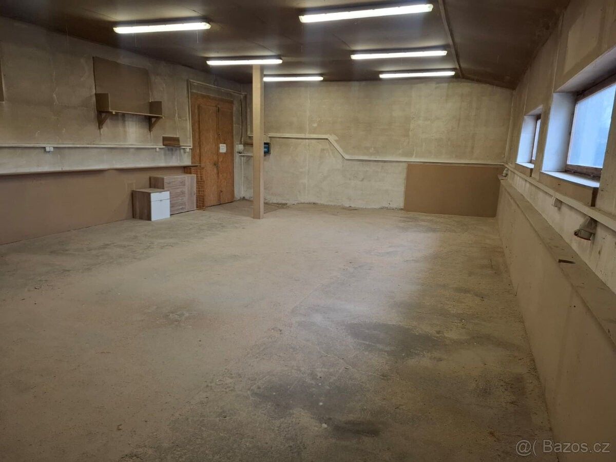 Ostatní, Mnichovo Hradiště, 295 01