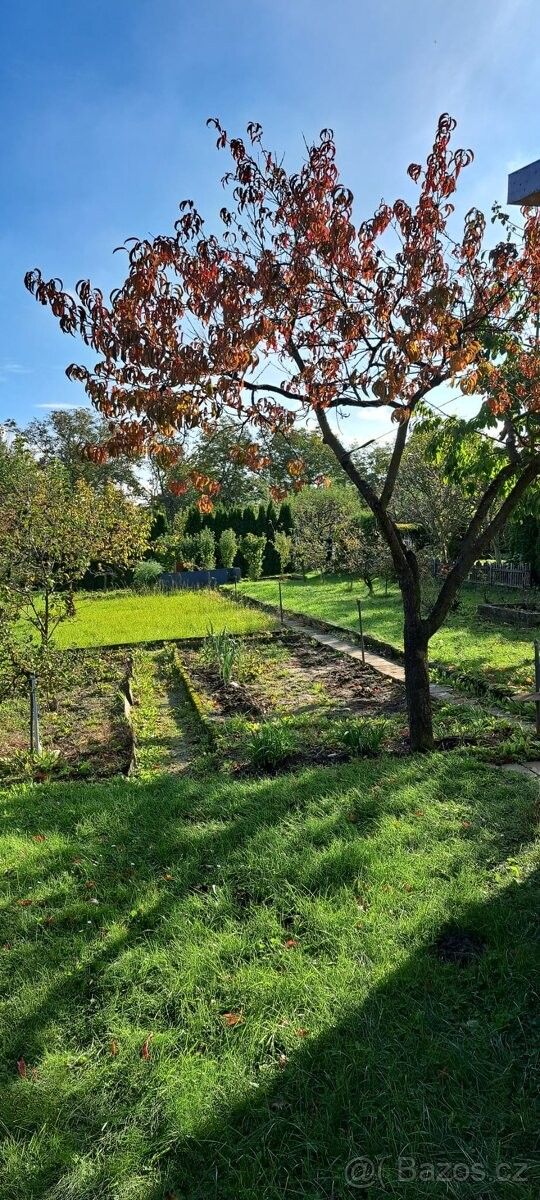 Zahrady, Nový Jičín, 741 01