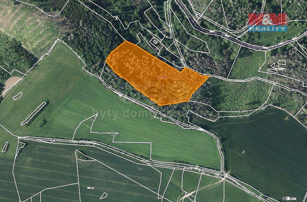 Les · Brtnice, okres Jihlava, Kraj Vysočina - 4