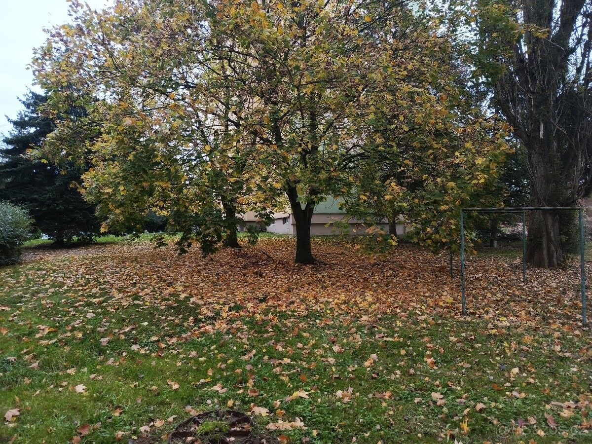 Prodej byt - Česká Lípa, 470 01