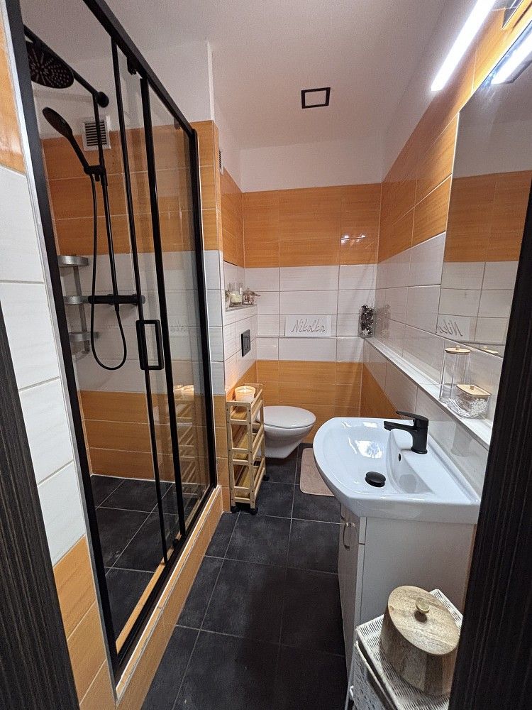 2+1, Ostrava, okres Ostrava-město, Moravskoslezský kraj, 44 m²