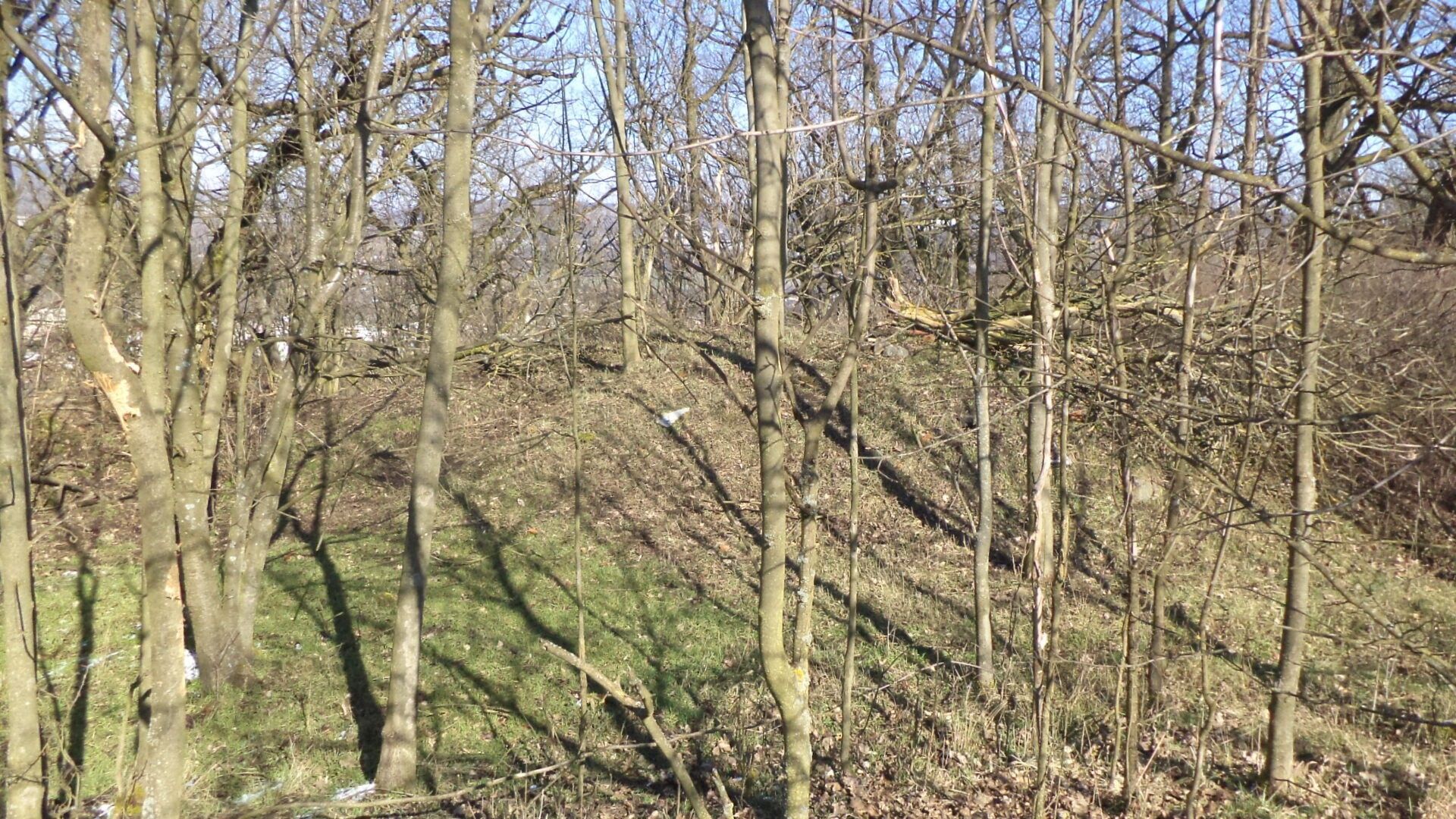 Pozemek · 7 064 m² · Ústí nad Labem - 3
