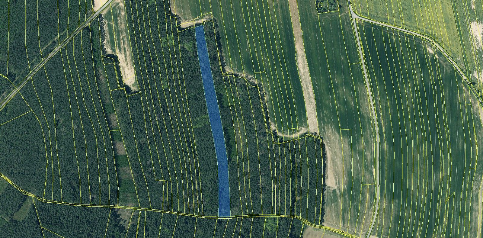 Prodej les - Dolany - Nýřany, okres Plzeň-sever, Plzeňský kraj - 2