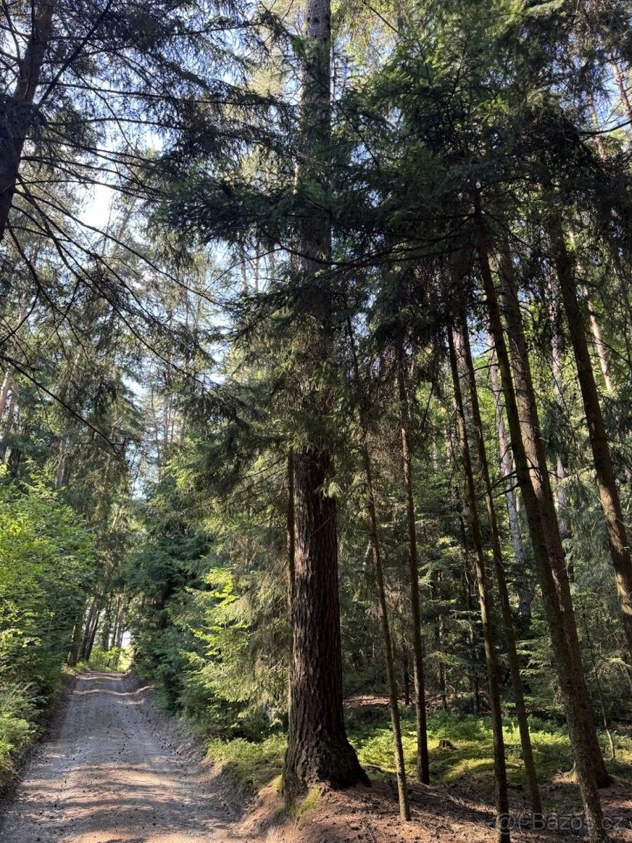 Pozemky pro bydlení, Zábřeh, 789 01