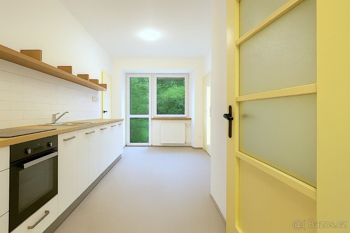 1+1, Brno, 602 00, 50 m²