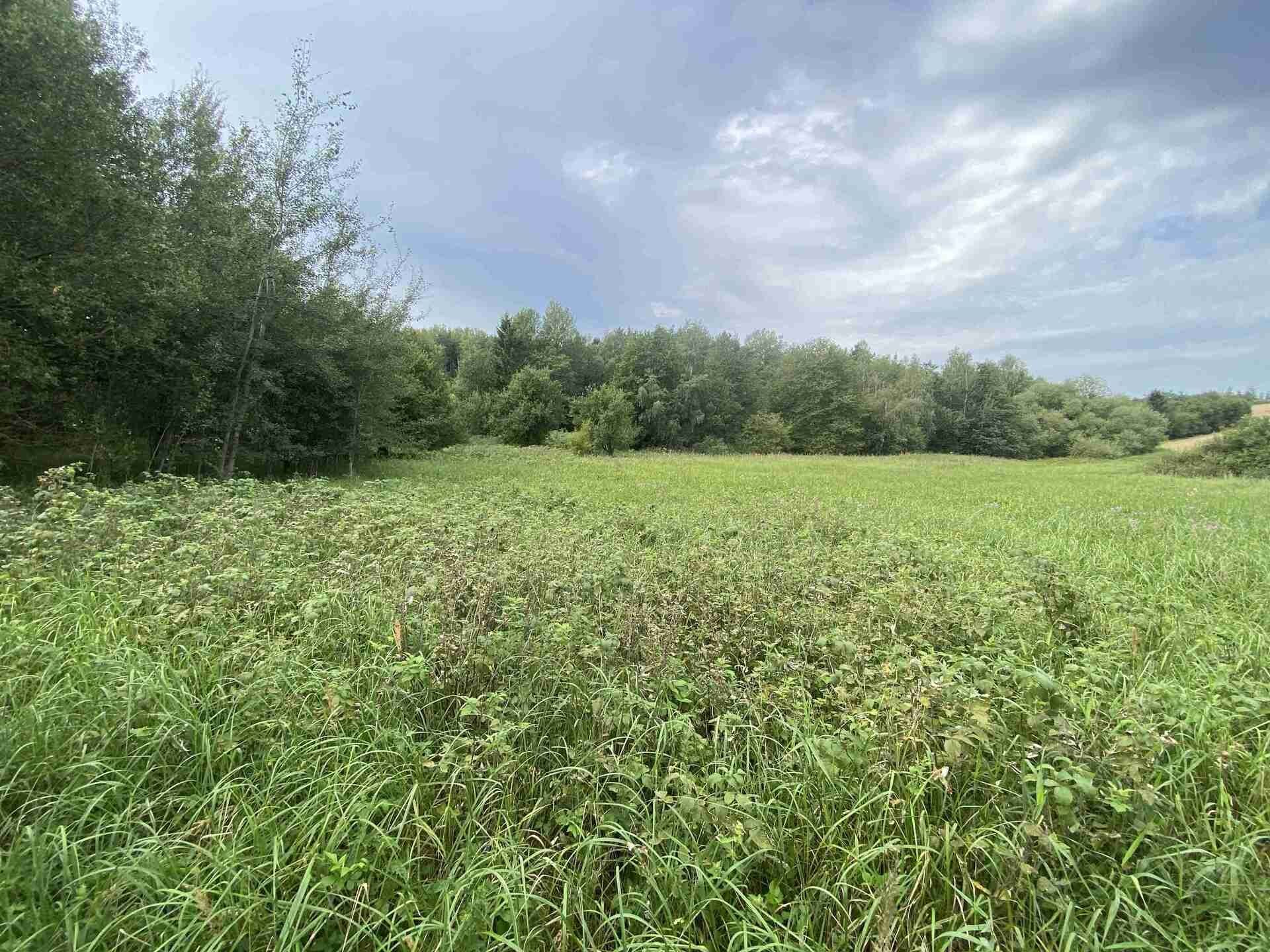 Pozemek · 4 446 m² · Písečné Slavětín - 4