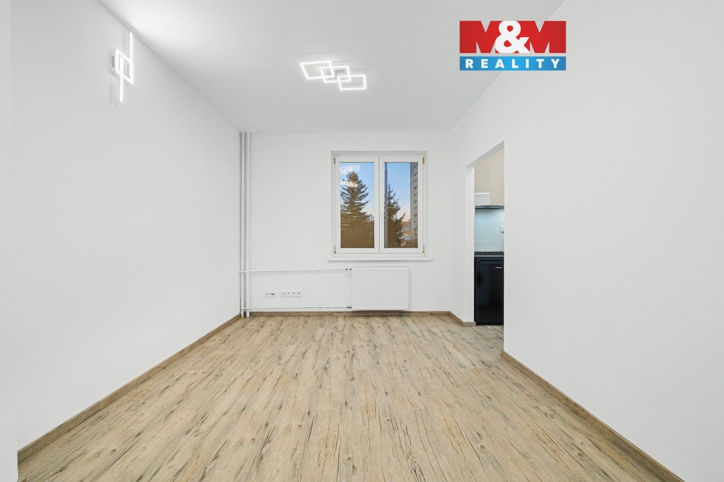 1+1, Jilemnického, Mladá Boleslav, 23 m²