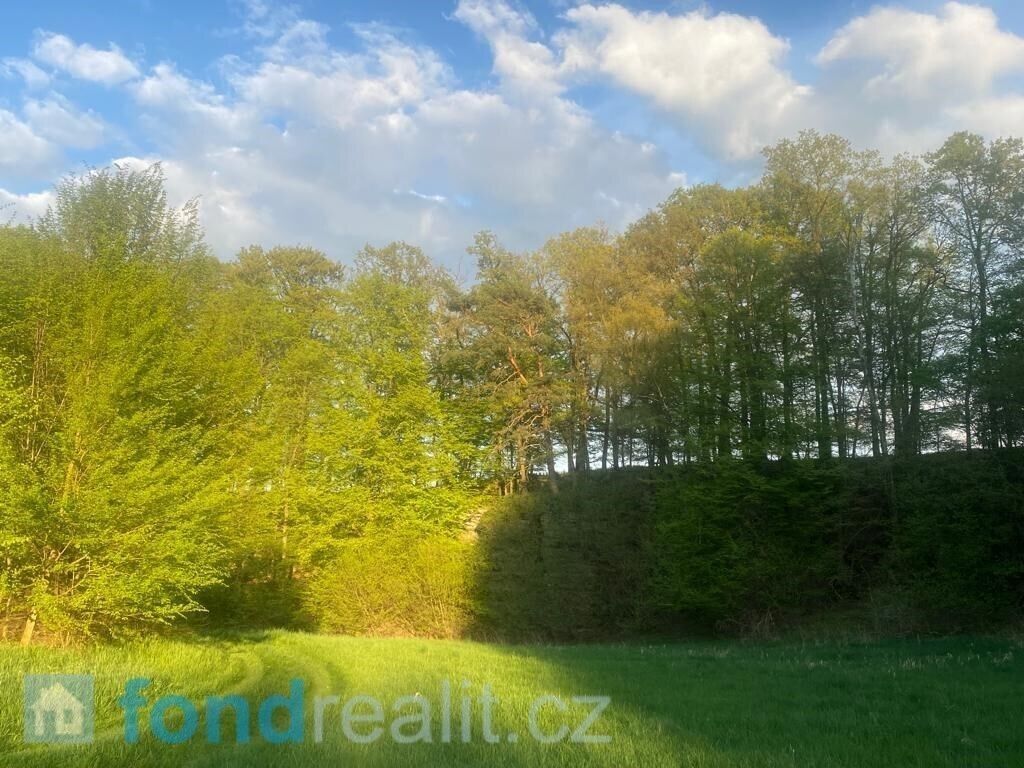 Zemědělský pozemek · 3 829 m² · Tachov - 3