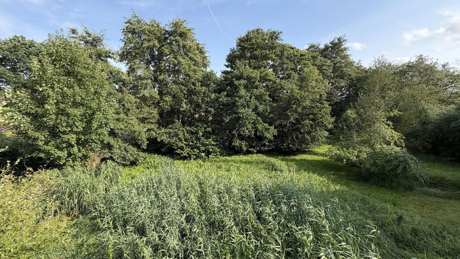 Pronájem byt 5+1 - , Dolní Sasko, 149 m² - 5
