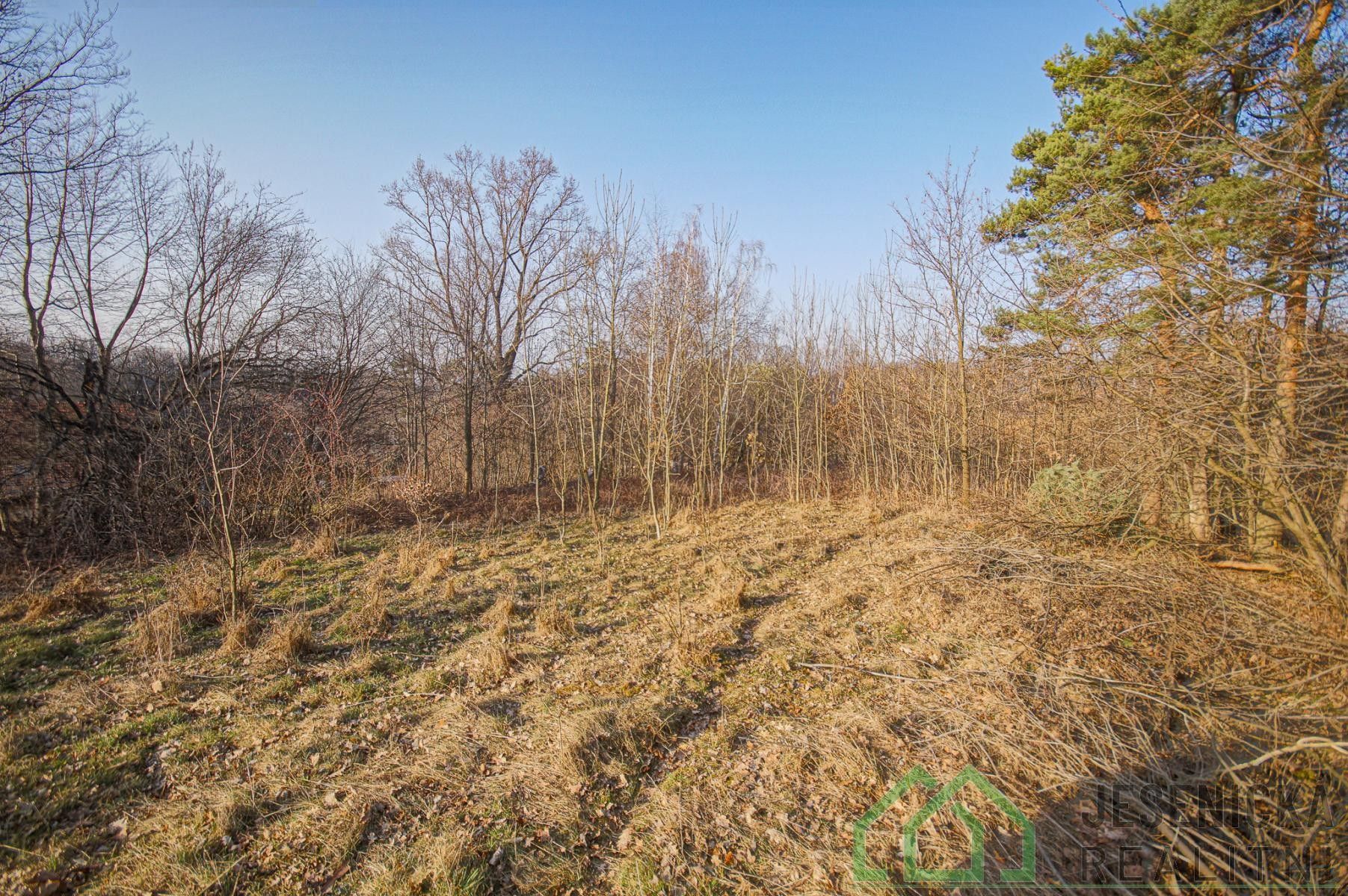 Pozemek pro bydlení · 15 640 m² · Buková, Bernartice - 4