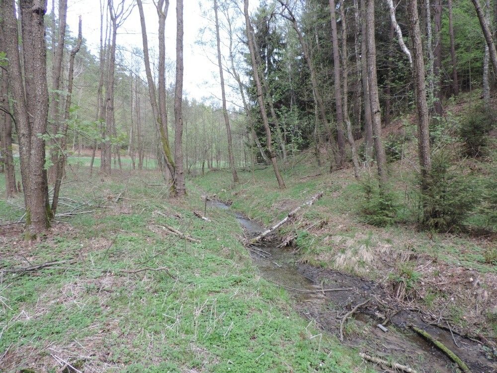 Pozemky pro bydlení, Osečná, 463 52