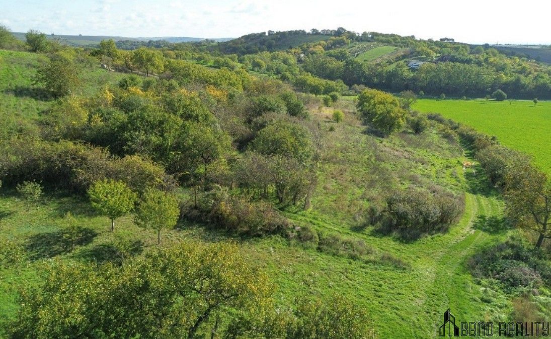 Prodej zahrada - Hrušovany u Brna, okres Brno-venkov, Jihomoravský kraj - 5
