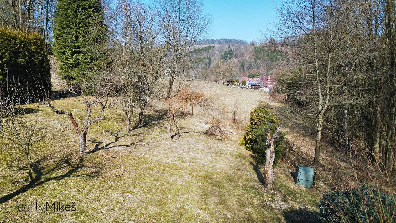 Louka · Železný Brod, okres Jablonec nad Nisou, Liberecký kraj - 3