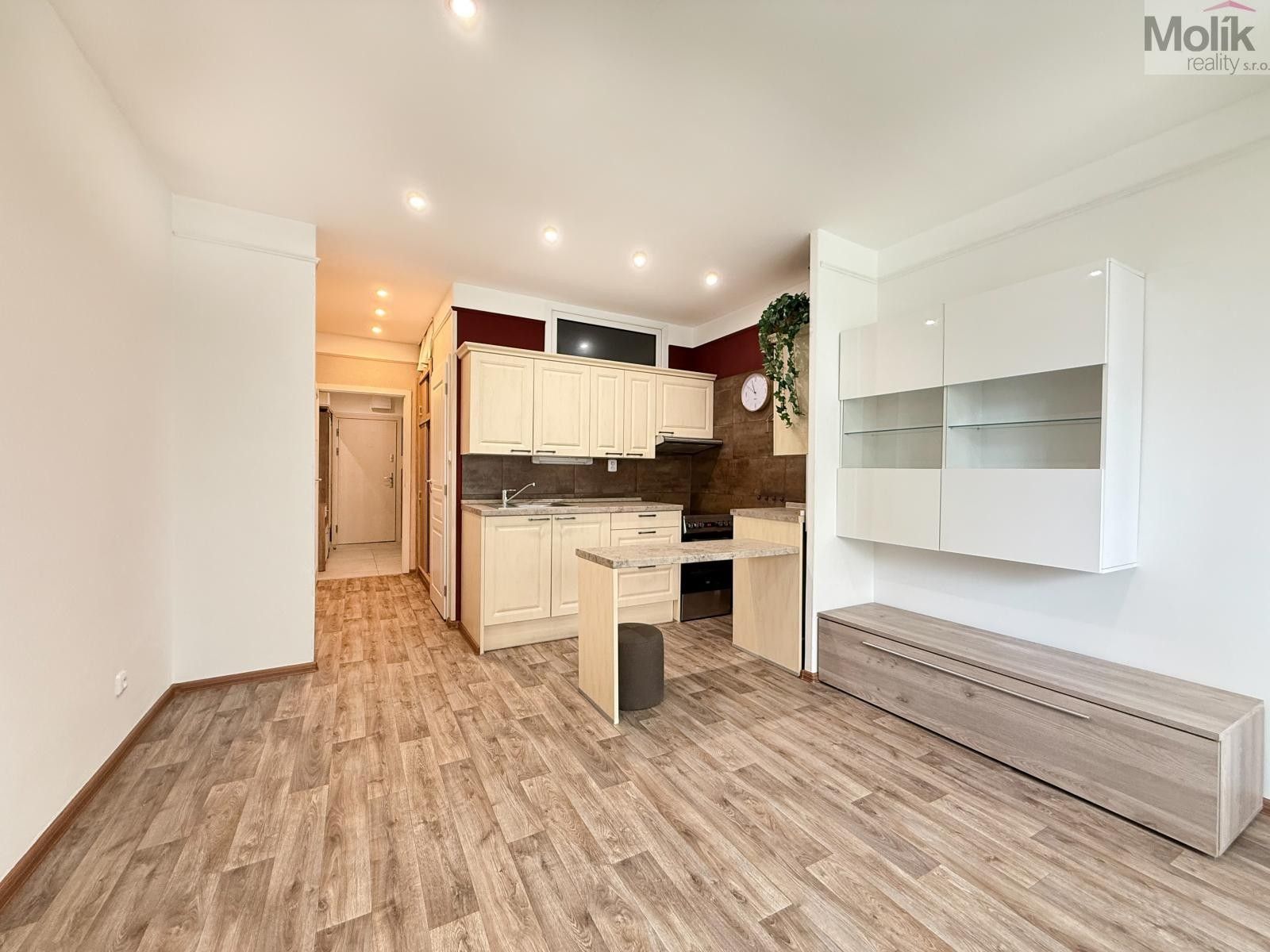 Pronájem byt 1+kk - U divadla, Teplice, 38 m² - 5