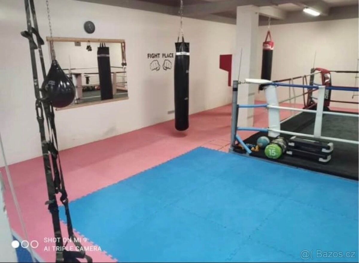 Ostatní, Praha, 170 00