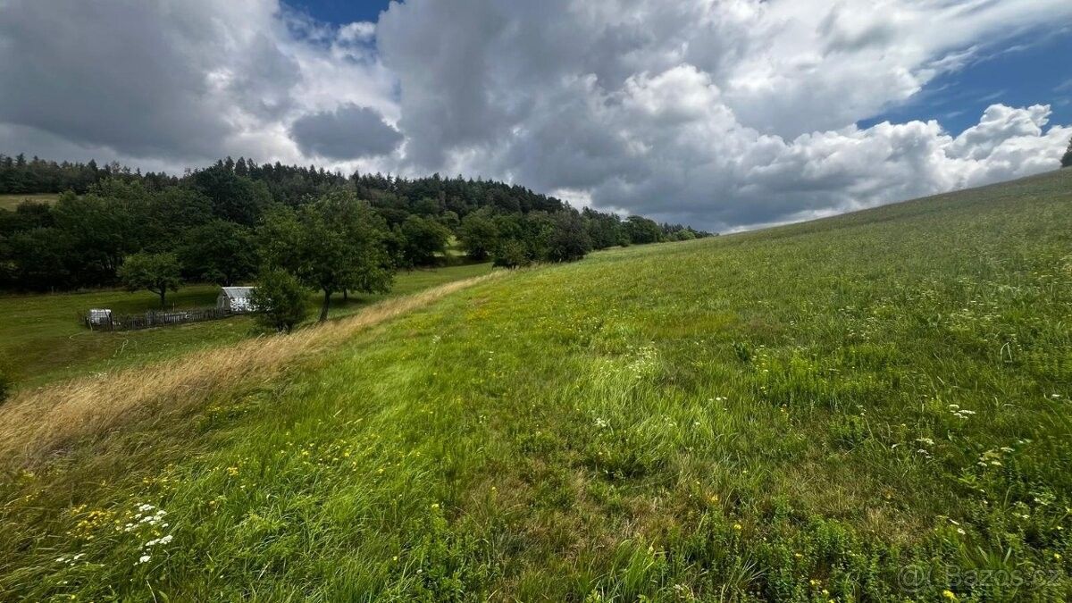 Pozemek pro bydlení · Ruda nad Moravou, 789 63 - 3