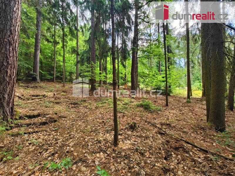 Prodej pozemek pro bydlení - V Zátiší, Jevany, 2 946 m²