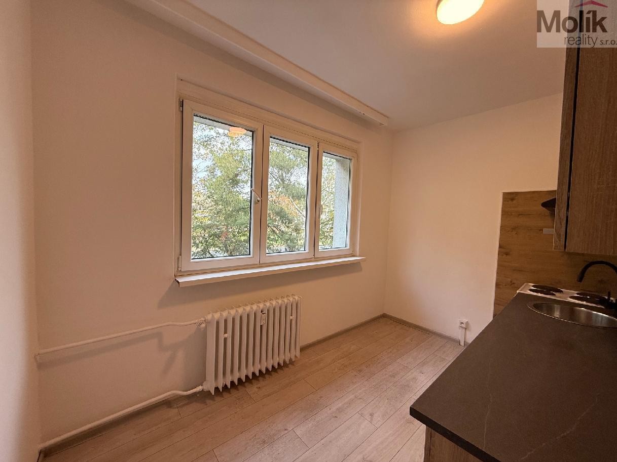 2+1, Sídliště U Nového nádraží, Bílina, 55 m² - 2