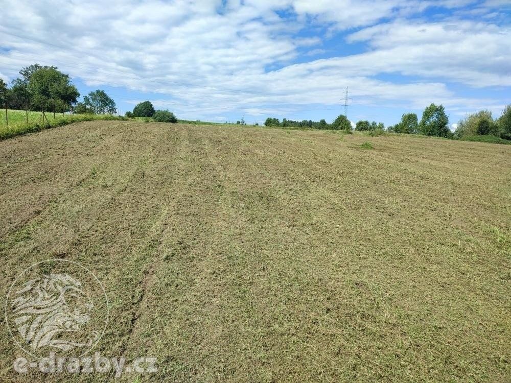 Pozemky pro bydlení, Bruzovice, 11 054 m²