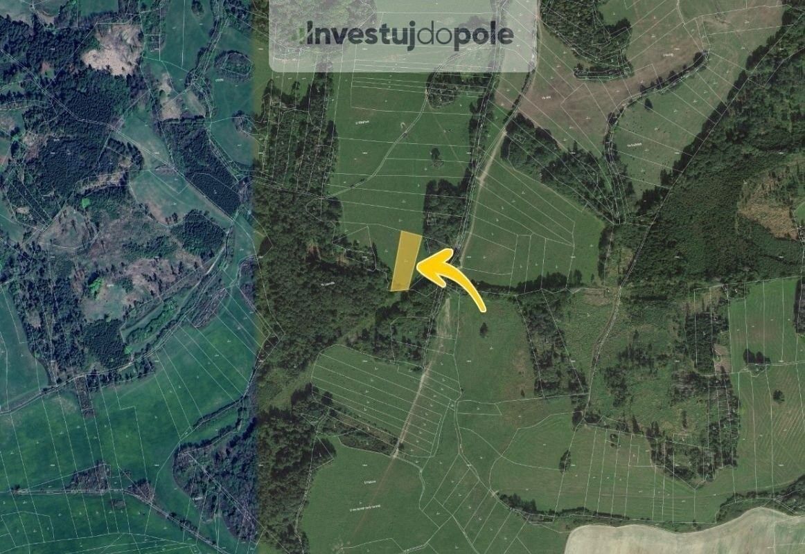 Prodej louka - Neurazy, 3 979 m²