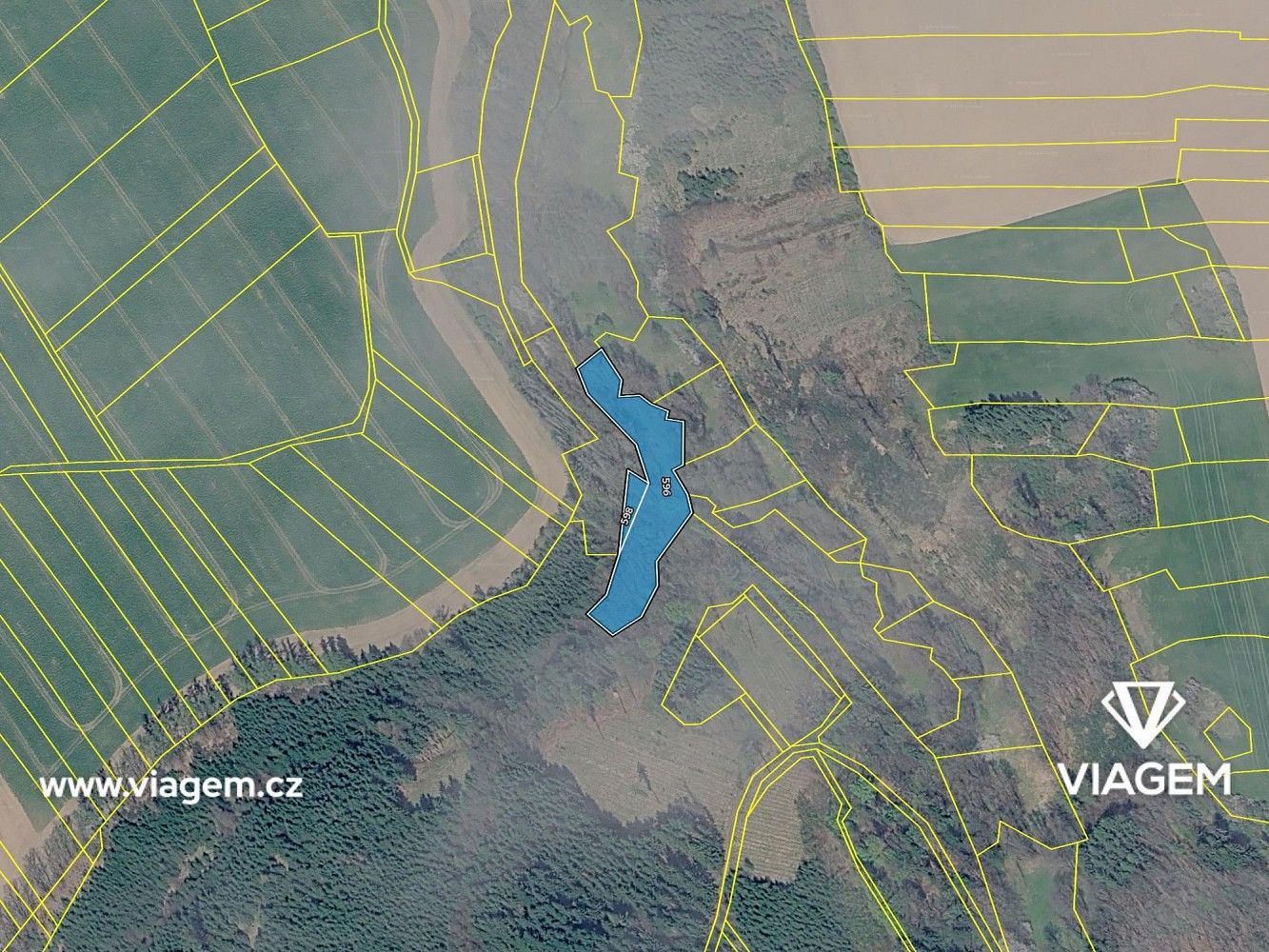Les · Vilémov, okres Havlíčkův Brod, Kraj Vysočina - 4