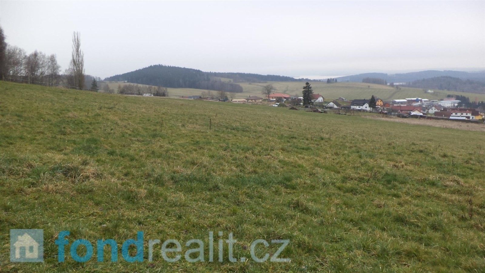 Prodej zemědělský pozemek - Horní Planá, 45 926 m²