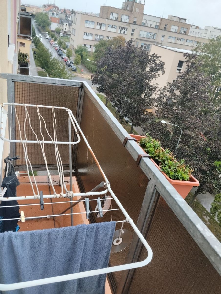 Byt 2+1 · 54 m² · Rychtaříkova, Plzeň - Plzeň, Plzeňský kraj - 4
