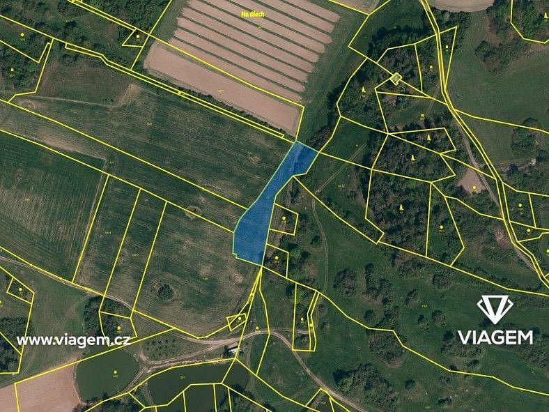 Zemědělský pozemek · Petráveč, okres Žďár nad Sázavou, Kraj Vysočina - 3