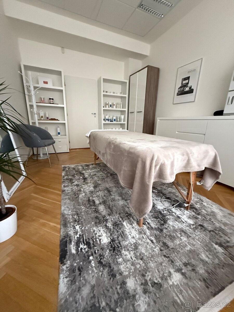 Pronájem ostatní - Praha, 110 00