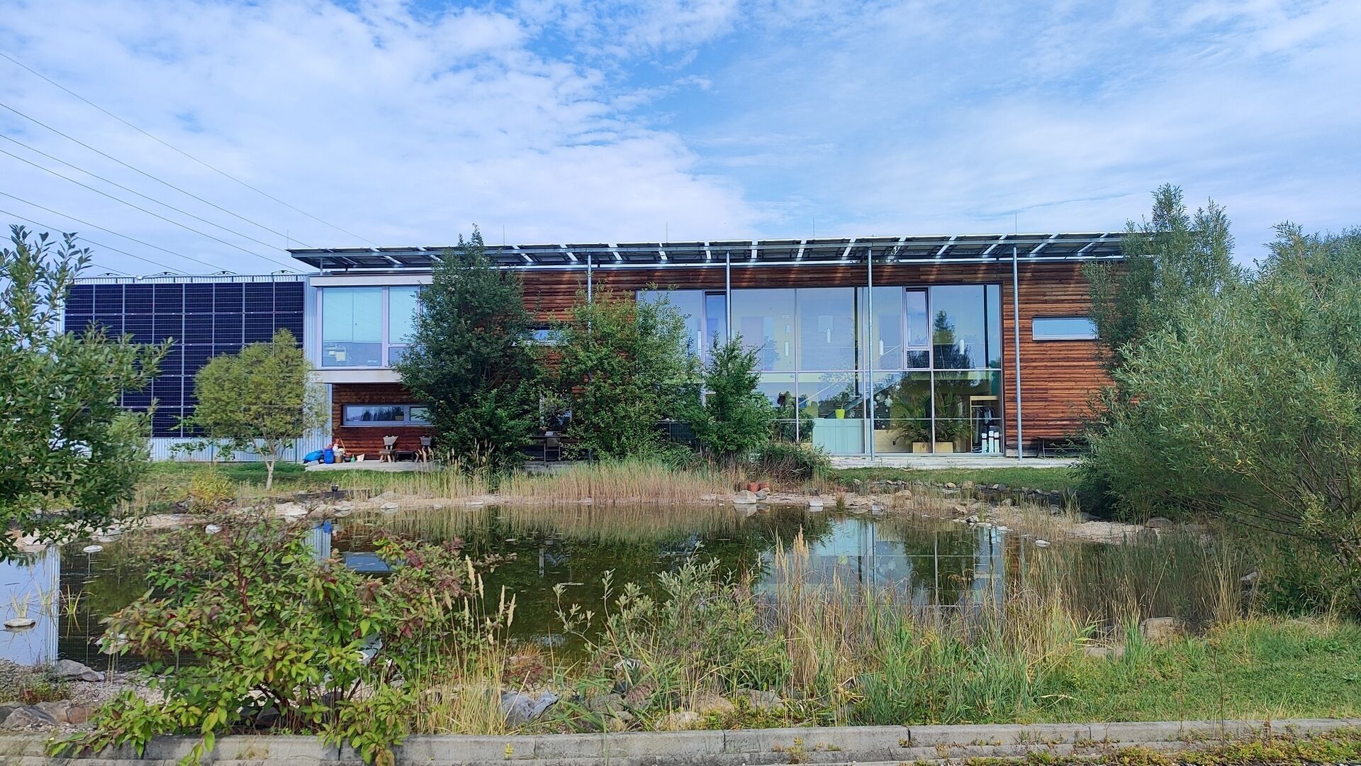 Ostatní, U vodárny, Otvice, 25 431 m² - 1