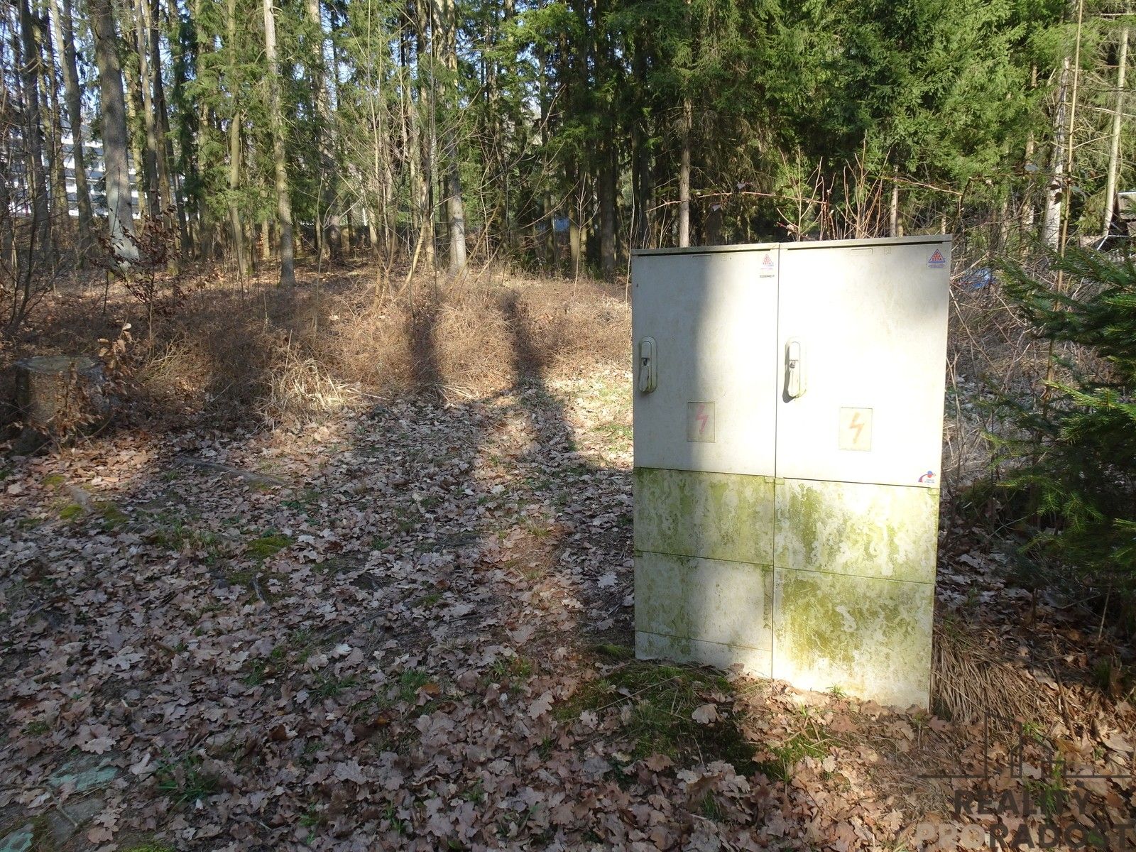 Les · 637 m² · Seč - 3