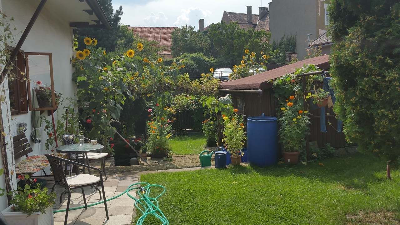 Chaty, Opočno - Opočno pod Orlickými horami, Královéhradecký kraj - 2