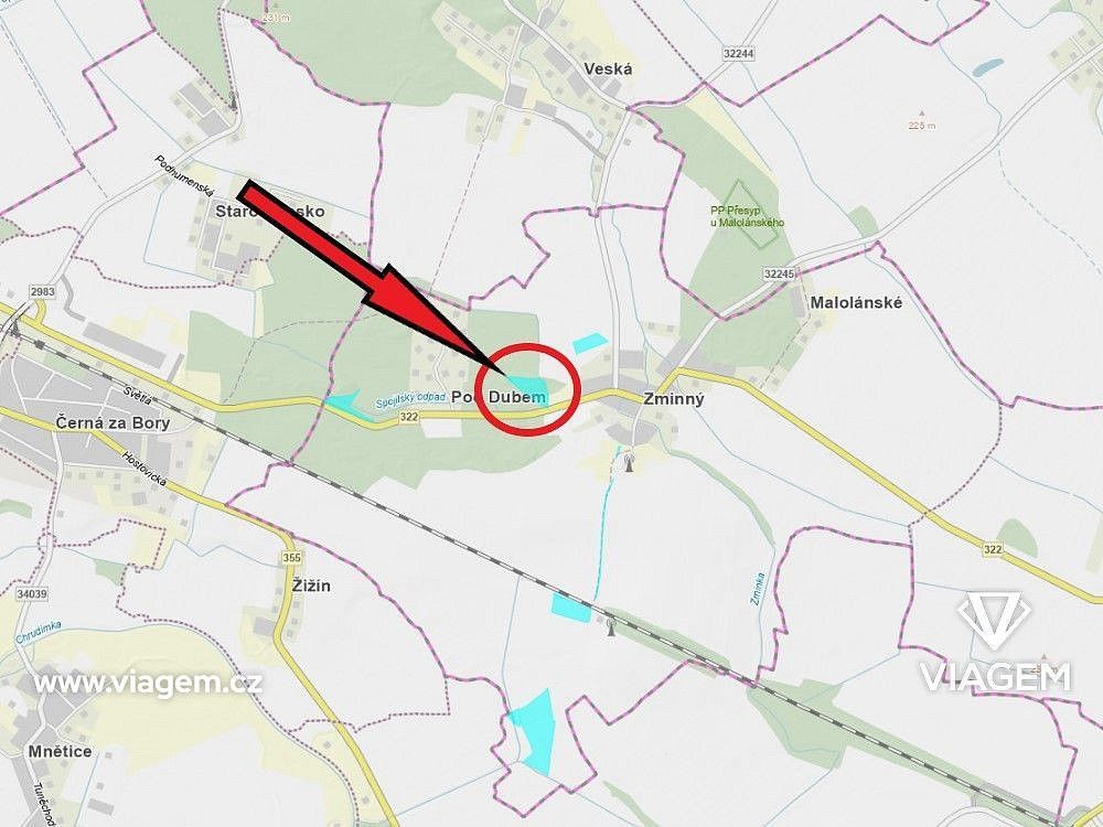 Les · Dašice, okres Pardubice, Pardubický kraj - 4
