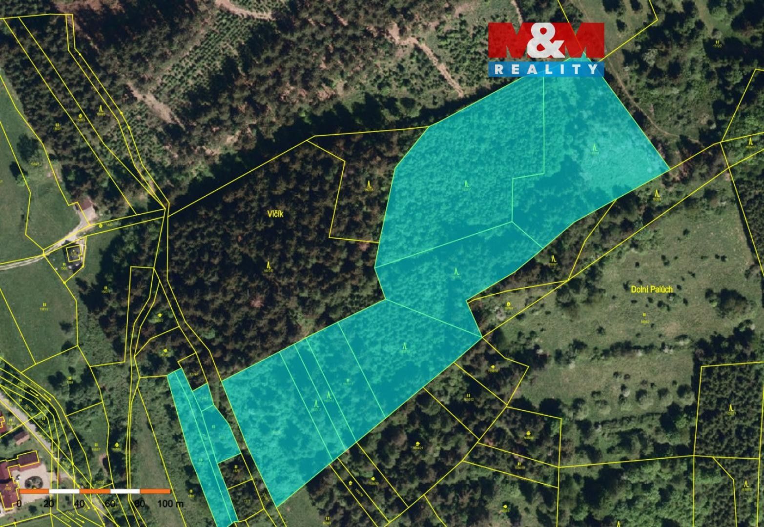 Lesy, Nový Hrozenkov