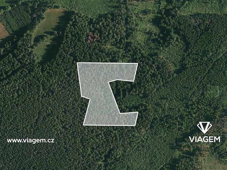 Lesy, Volyně, okres Strakonice, Jihočeský kraj - 2