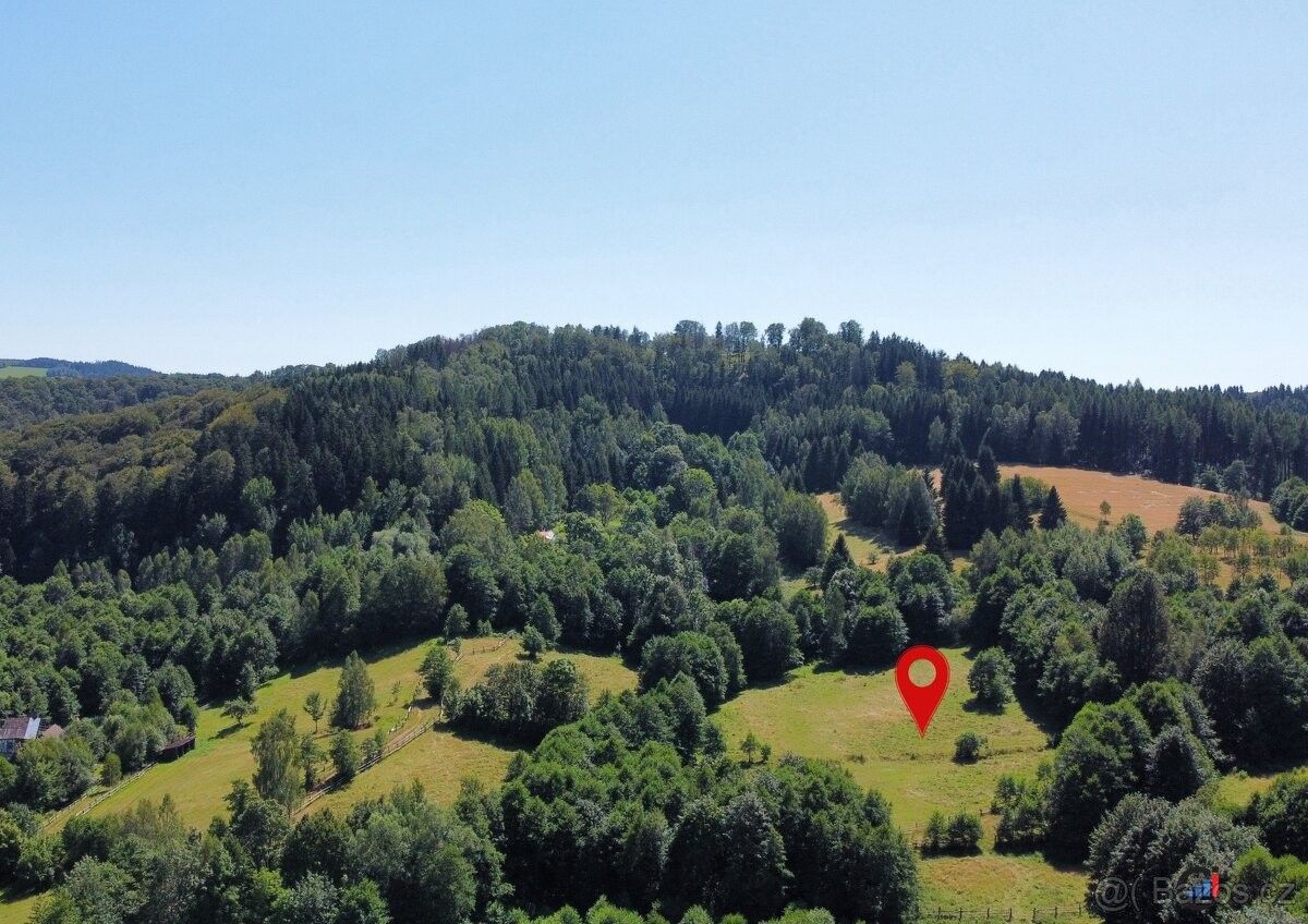 Prodej pozemek pro bydlení - Olešnice v Orlických horách, 517 83