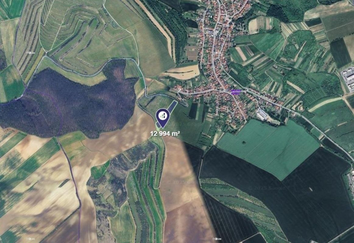 Prodej zemědělský pozemek - Dambořice, 12 994 m²