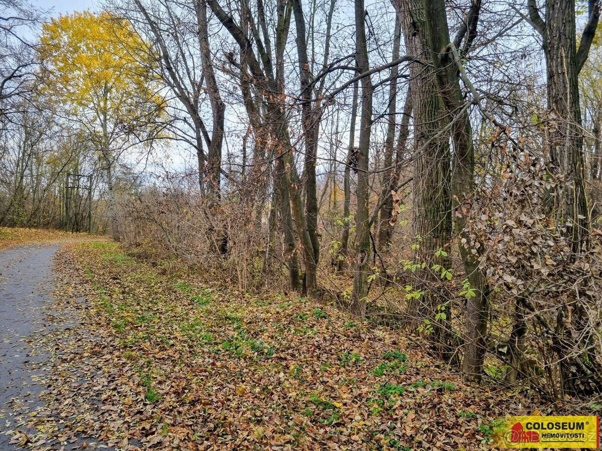 Pozemky pro bydlení, Rousínov u Vyškova, 683 01