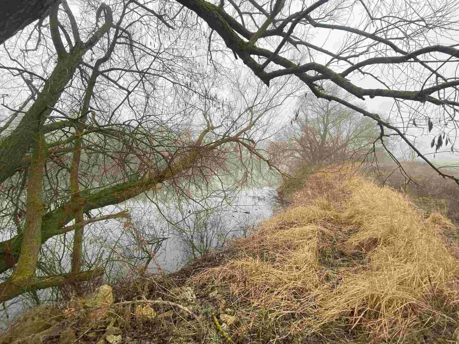 Ostatní