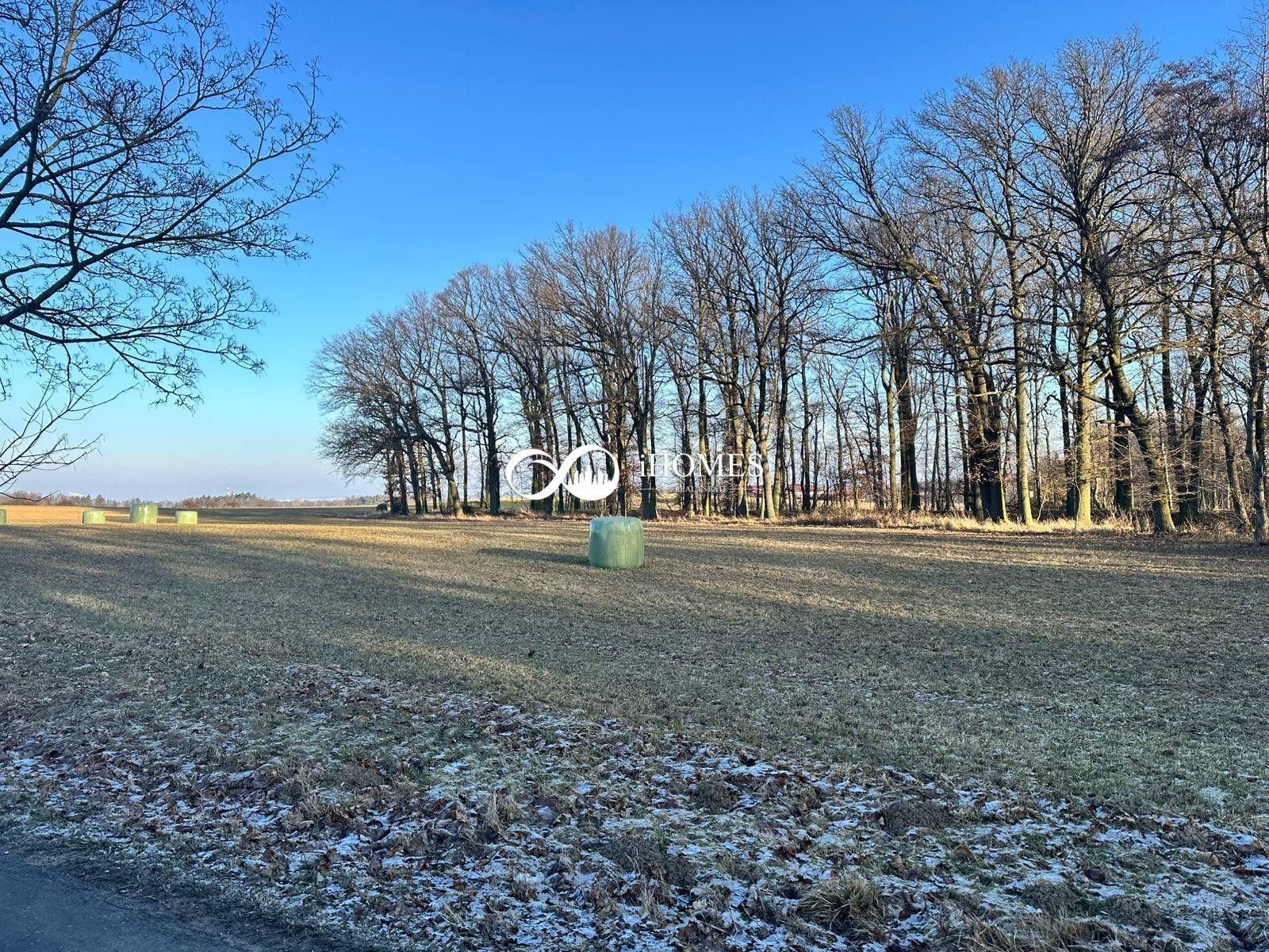 Prodej zemědělský pozemek - Předboř, Strančice, 2 400 m²