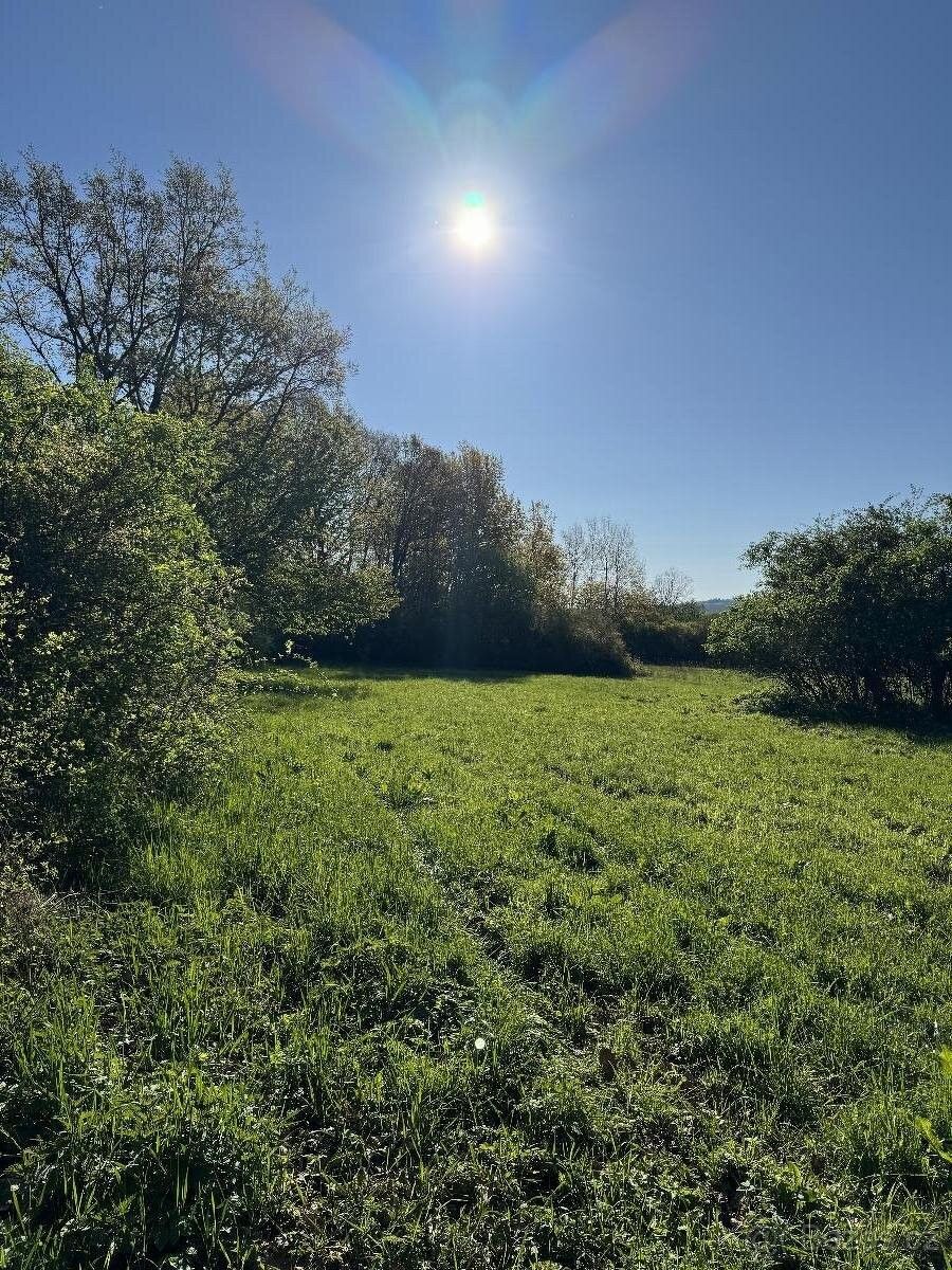 Pozemky pro bydlení, Nové Mitrovice, 335 63