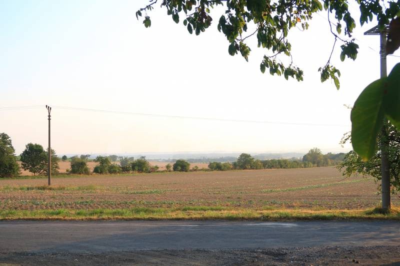 Zemědělský pozemek · Bělkovice-Lašťany - 4