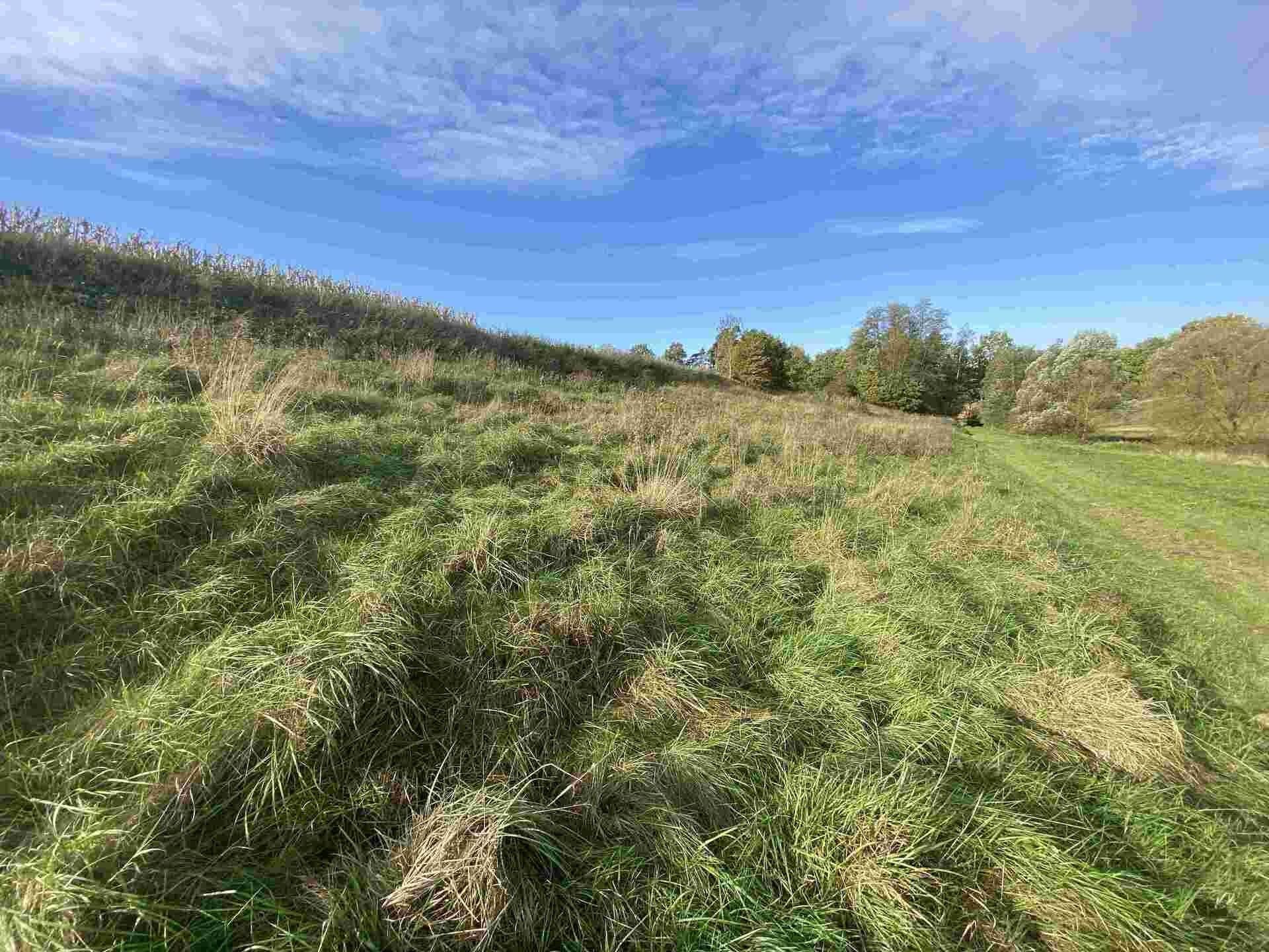 Zemědělské pozemky, Svijany, 1 m²