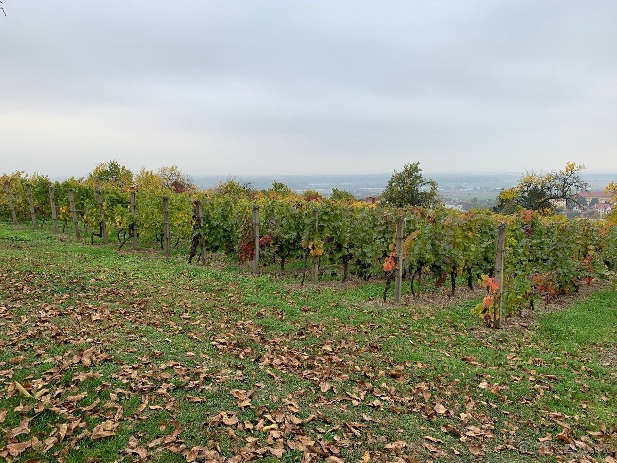 Ostatní, Uherské Hradiště, 686 01