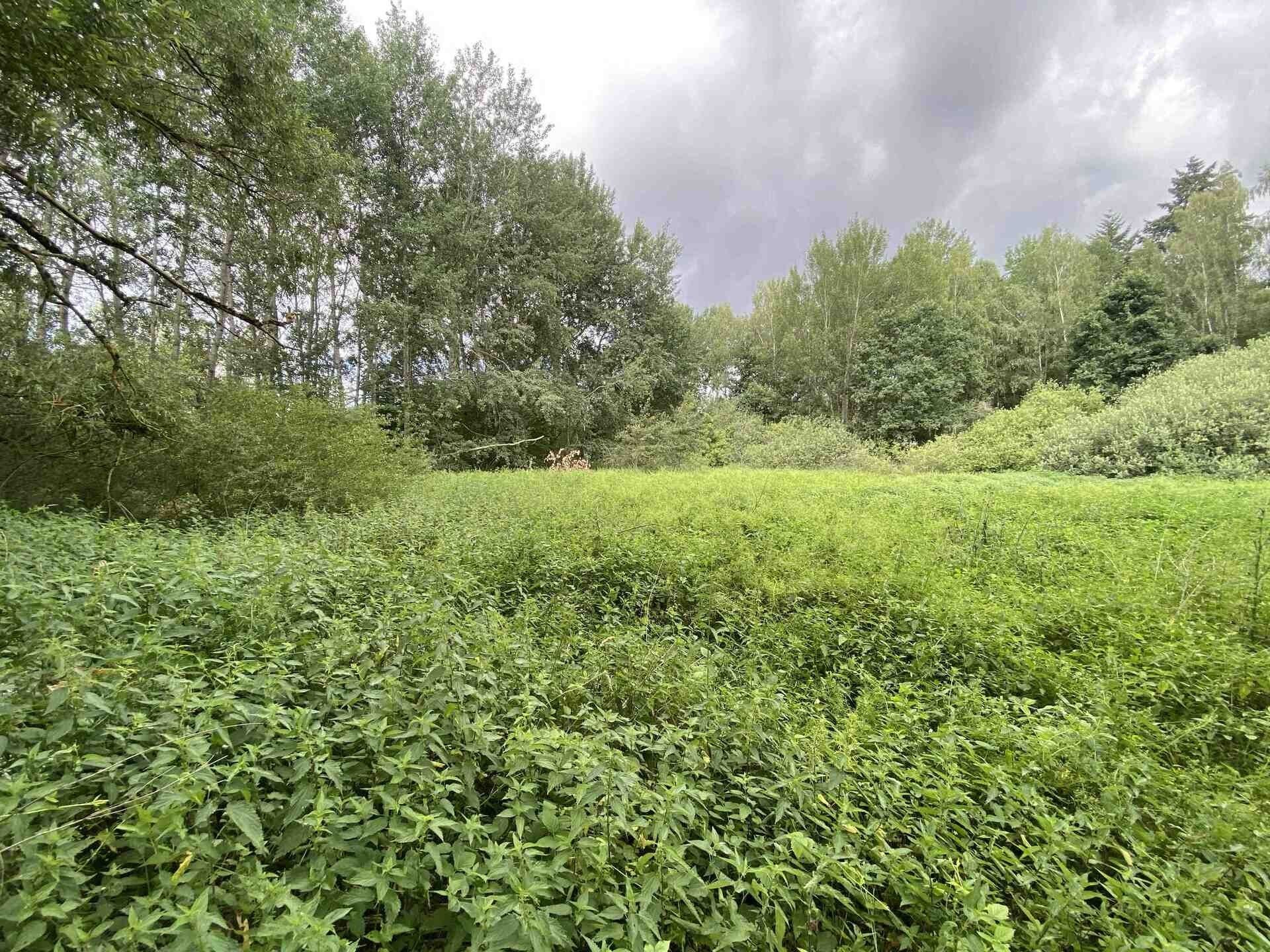 Rybníky, Nové Hrady Štiptoň, 6 751 m² - 2
