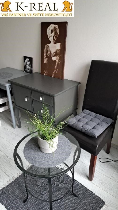 Pronájem byt 1+kk - Pražská, Brno, 23 m²